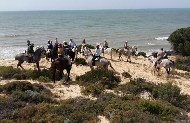 Paseo a caballo por Doñana - Foto 2