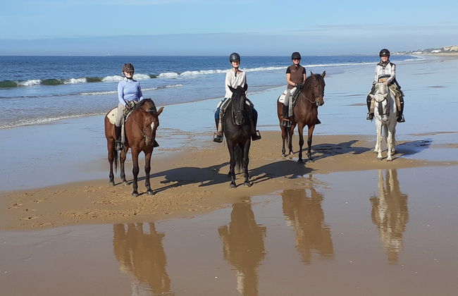 Paseo a caballo por Doñana - Foto 4