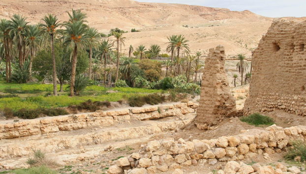 Tamerza, Chebika & Mides Excursion - Photo 3