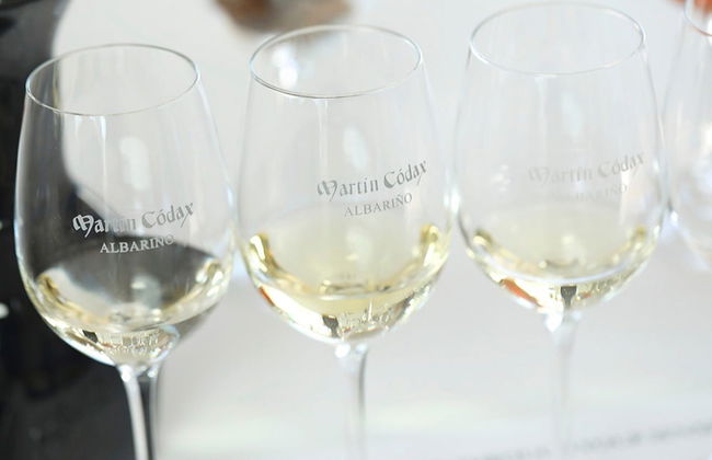 Visita a las bodegas Martín Códax - Foto 5