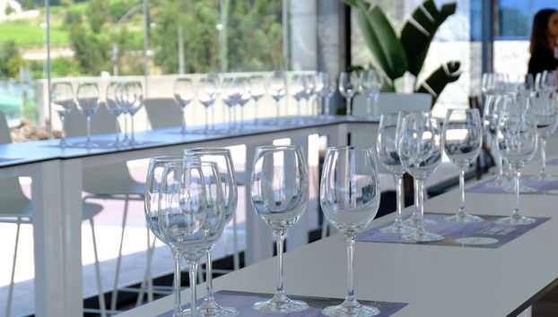 Visita a las bodegas Martín Códax - Foto 4