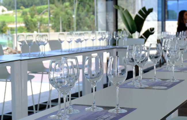 Visita a las bodegas Martín Códax - Foto 4