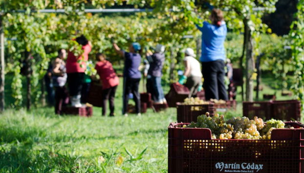 Visita a las bodegas Martín Códax - Foto 2
