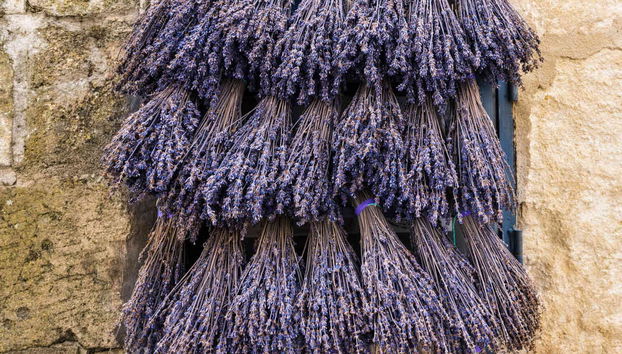 Excursão a Roussillon, Gordes e Lourmarin + Degustação de vinhos - Foto 2