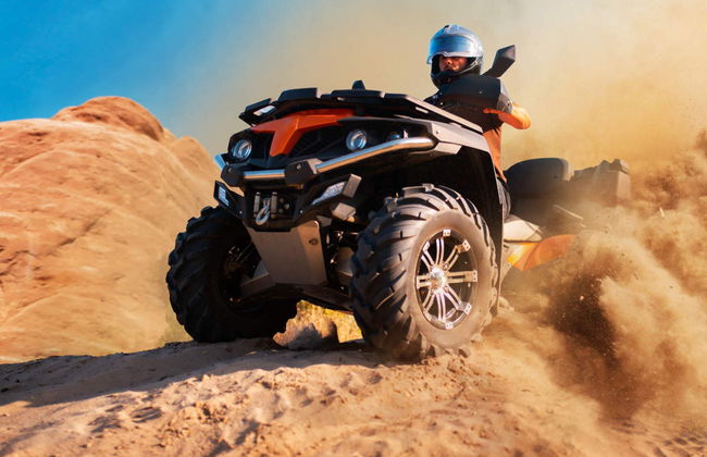 Desert safari privado por los kaluts de Shahdad - Foto 5