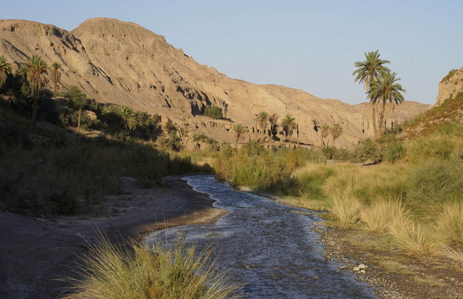 Desert safari privado por los kaluts de Shahdad - Foto 6