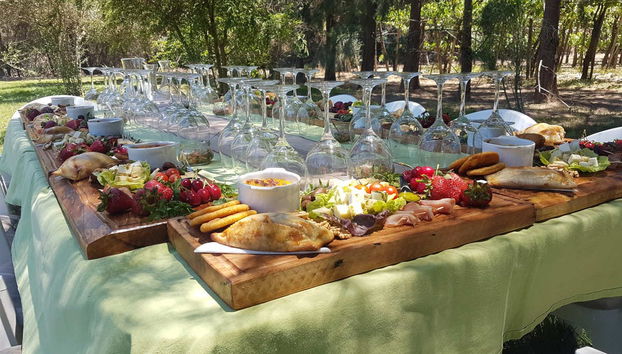 Disfrutando de un rico almuerzo campestre