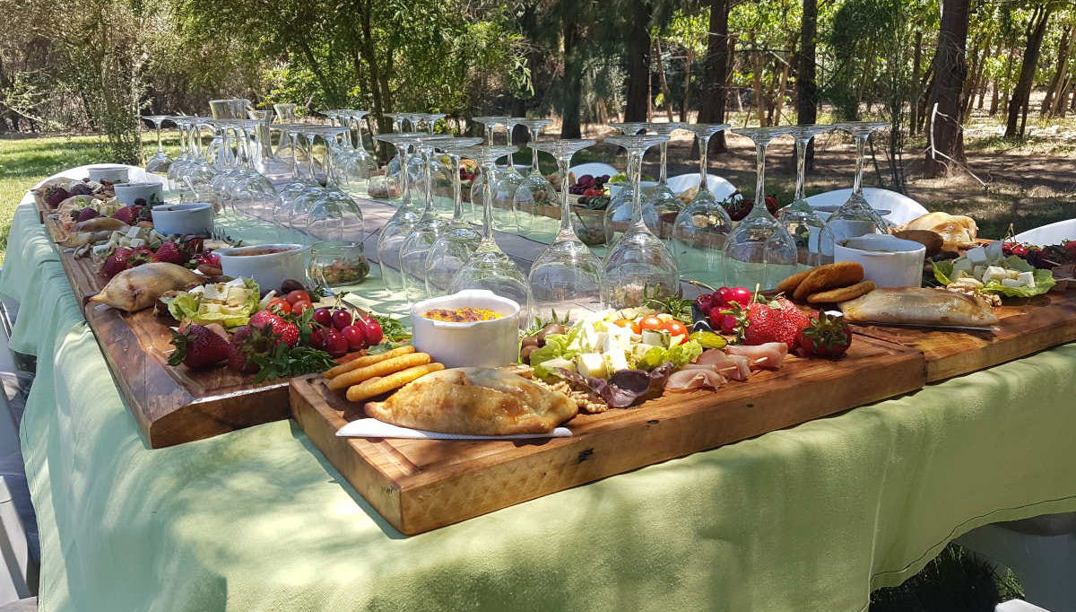 Isla de Maipo Wine Tour - Foto 1