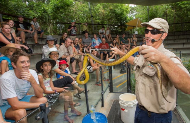 Excursão ao Hartley's Crocodile Adventures - Foto 4