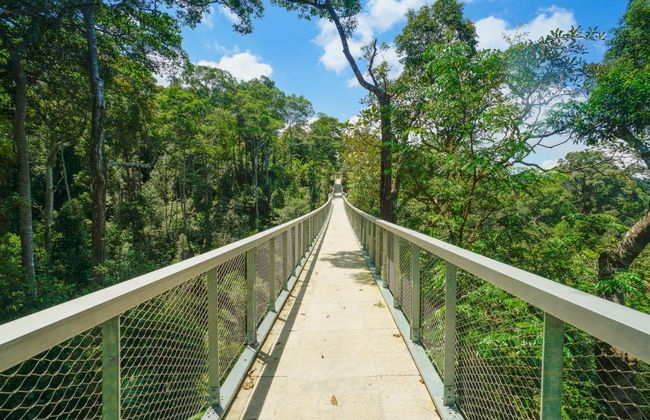 Excursion privée à The Habitat Penang Hill - Photo 1