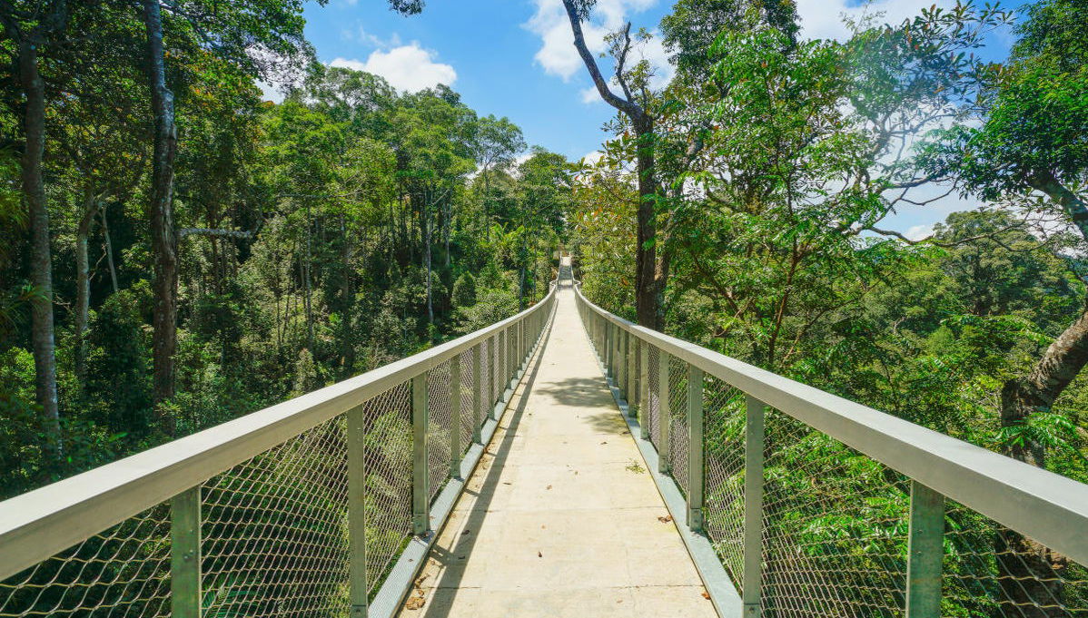 The Habitat Penang Hill Private Tour - Foto 1