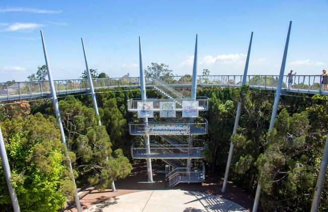 Excursion privée à The Habitat Penang Hill - Photo 2