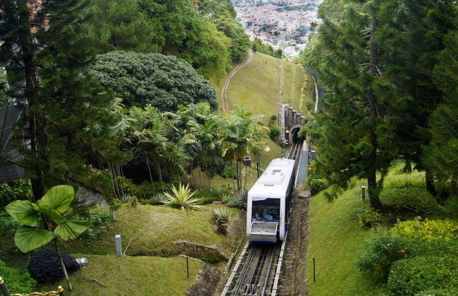 Excursion privée à The Habitat Penang Hill - Photo 7