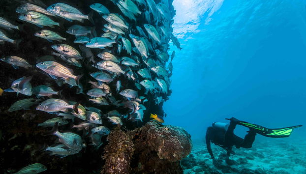 Scuba Diving in Ölüdeniz - Photo 2