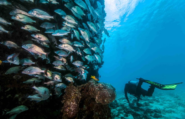 Immersione a Ölüdeniz - Foto 2
