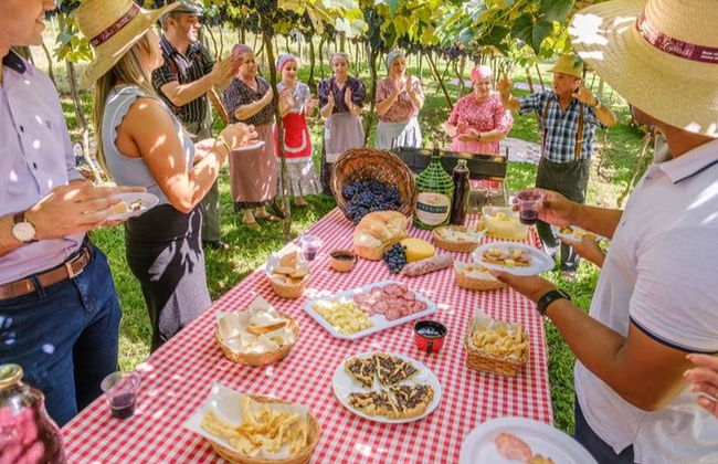 Visita di mezza giornata di un'azienda vinicola - Foto 5