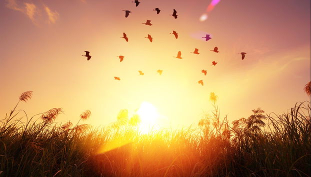 Excursión en 4x4 al Pic Aubeill al amanecer - Foto 5