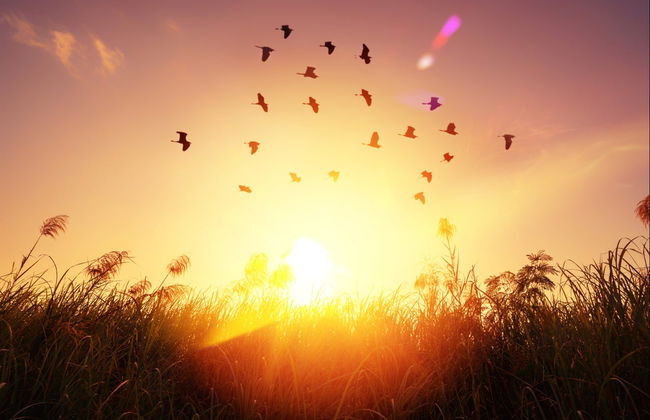 Pic Aubeill Sunrise Jeep Trip - Photo 5