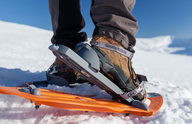 Torres Peak Snowshoe Hike - Photo 8