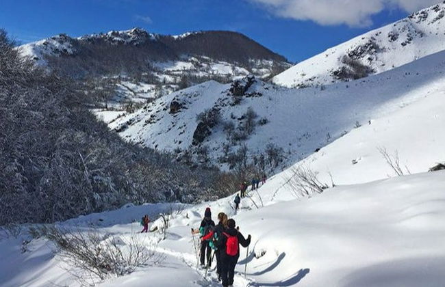 Torres Peak Snowshoe Hike - Photo 6