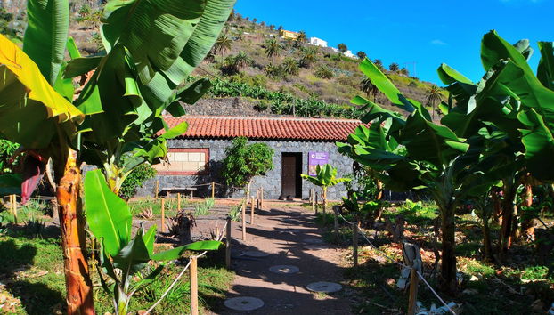Ethnographic Park of La Gomera Ticket - Foto 5