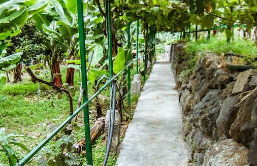 Entrada al Parque Etnográfico de La Gomera - Foto 3