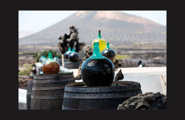 Excursion d'une demi-journée au sud de Lanzarote - Photo 3