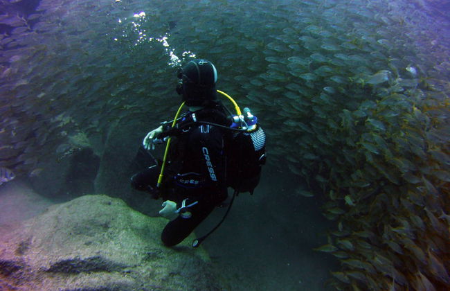 Las Galletas Beginners Scuba Diving Lesson - Foto 3