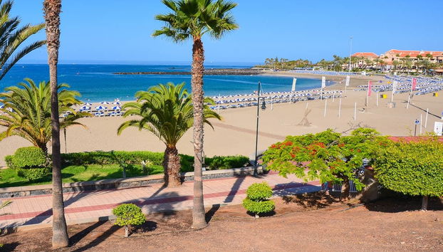 Aluguel de bicicleta no sul de Tenerife - Foto 2