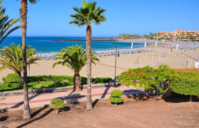 Bike Rental in South Tenerife - Foto 2