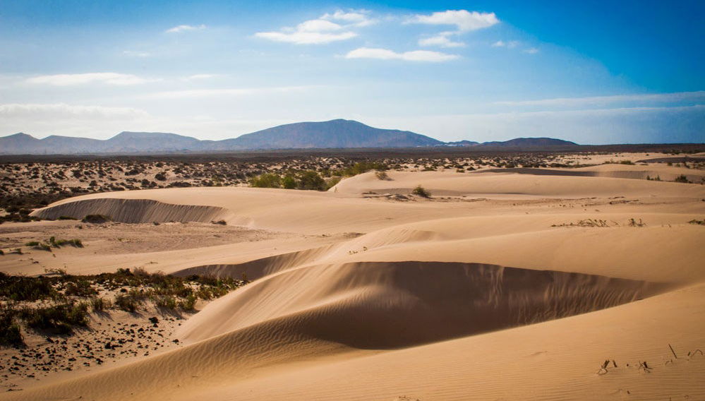 Dunas de Fuerteventura por conta própria - Foto 1