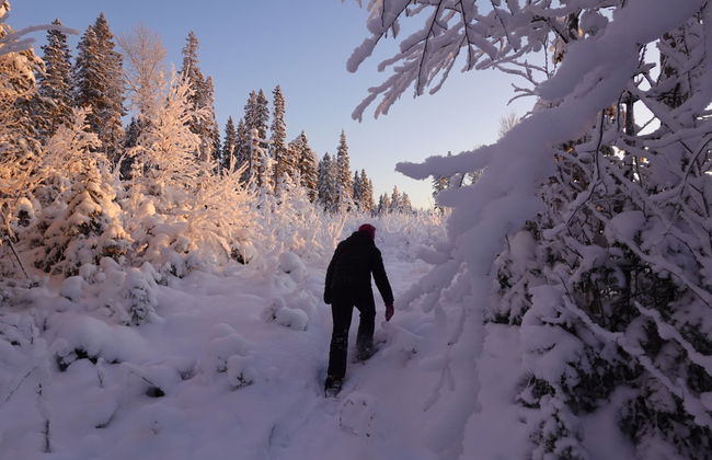 Paseo en moto de nieve por Luleå - Foto 7