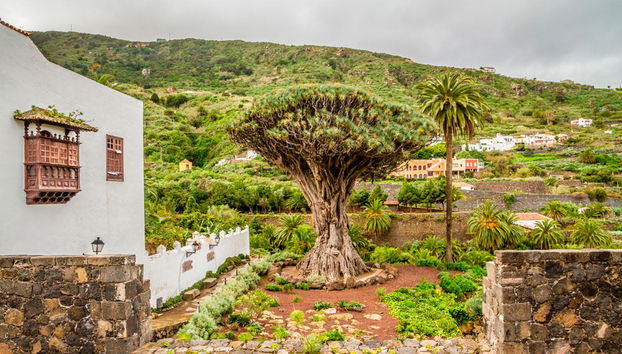 Excursión al Teide, Icod, Masca y Garachico desde el norte de Tenerife - Foto 2