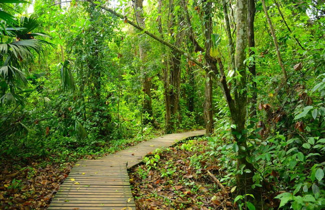 Excursión al Parque Tayrona - Foto 2