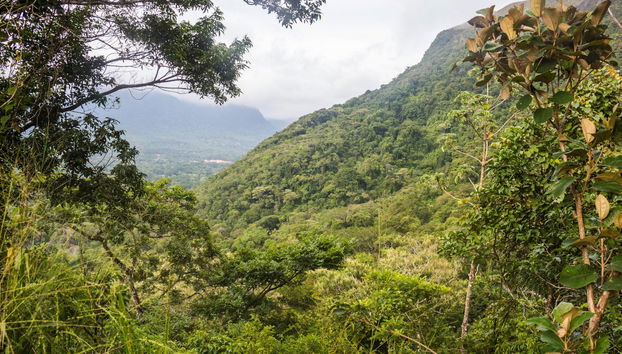 Valle de Anton Day Trip - Foto 5