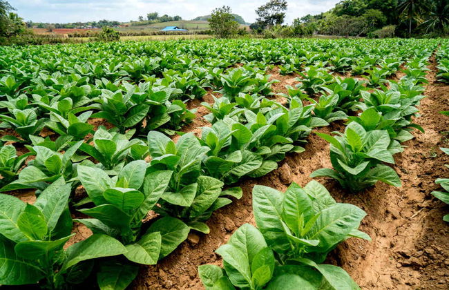 Cueva del Silencio Hike - Foto 6