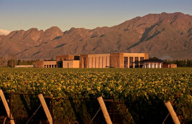 Tour privado por las bodegas de Luján de Cuyo - Foto 3