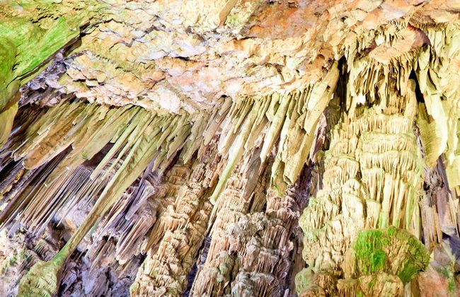 Excursion à Gibraltar - Photo 1