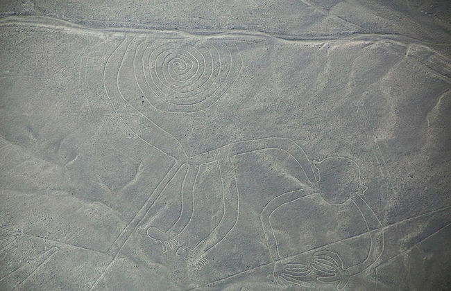 Excursión privada desde Ica - Foto 7