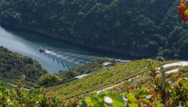 Ribeira Sacra & Ourense Tour - Photo 4