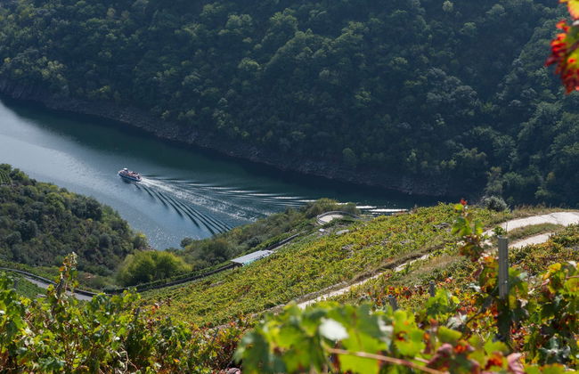 Tour pela Ribeira Sacra e Ourense - Foto 4