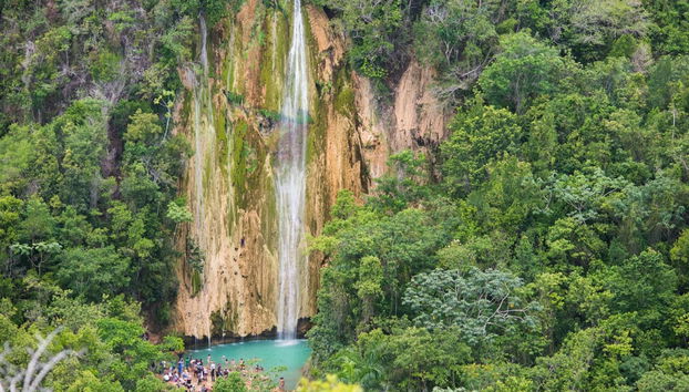 Whale Watching in Samaná + El Limón Waterfall - Foto 4