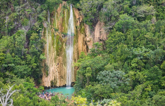 Whale Watching in Samaná + El Limón Waterfall - Foto 4