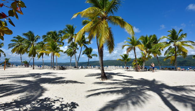 Whale Watching in Samaná + El Limón Waterfall - Foto 3