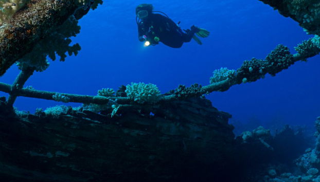 Diving in Puerto Madryn - Foto 4