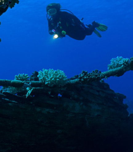 Foto de Buceo en Puerto Madryn