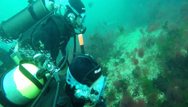Diving in Puerto Madryn - Foto 3