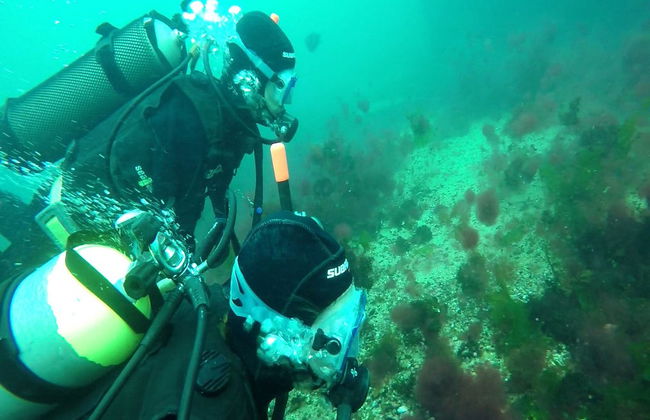 Plongée à Puerto Madryn - Photo 3