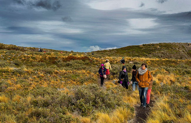 Paseo en yate por el Canal Beagle + Trekking por isla Bridges - Foto 4