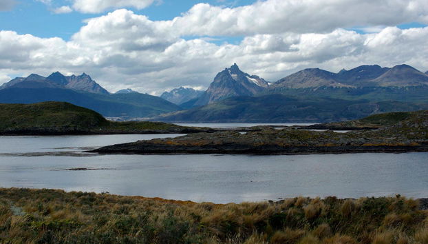 Paseo en yate por el Canal Beagle + Trekking por isla Bridges - Foto 5